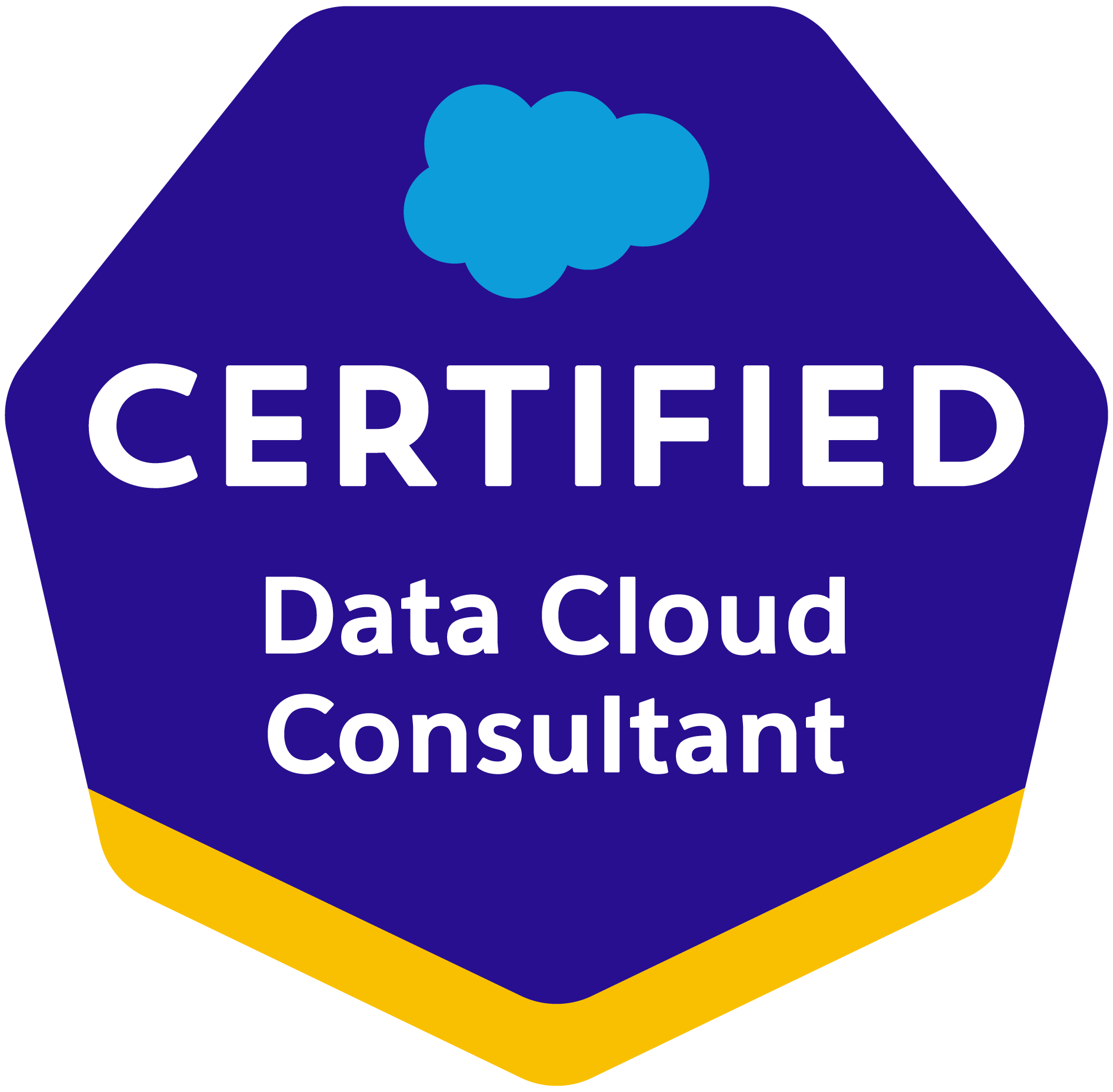 Salesforce Certified Data Cloud Consultant