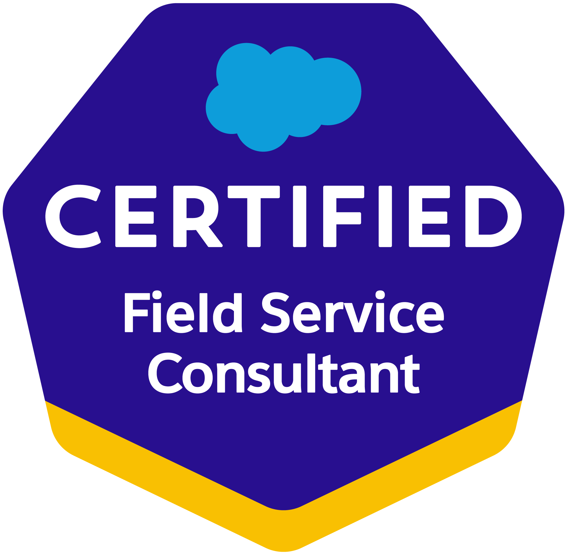 Salesforce Certified Field Service Consultant